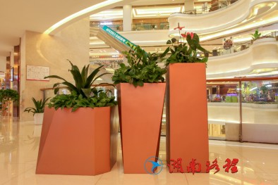 商場標(biāo)識(花盆）